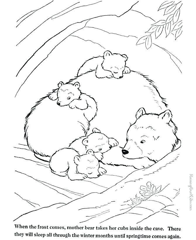 670x820 Wild Animals Coloring Pages Printable Printable Zoo Animal