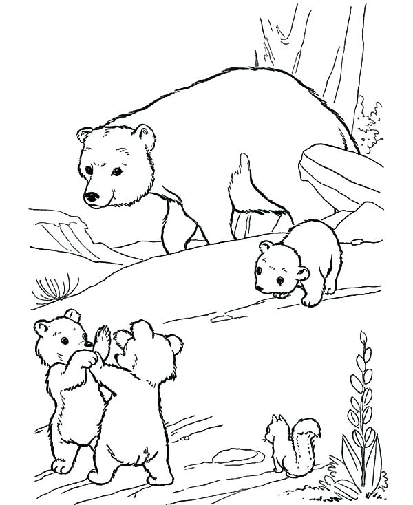 600x734 Arctic Animal Coloring Pages Printable Hare Coloring Pages