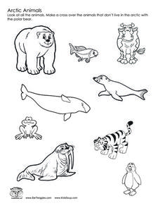 228x295 Arctic Animals Worksheet Hot Resources 2.4 Arctic