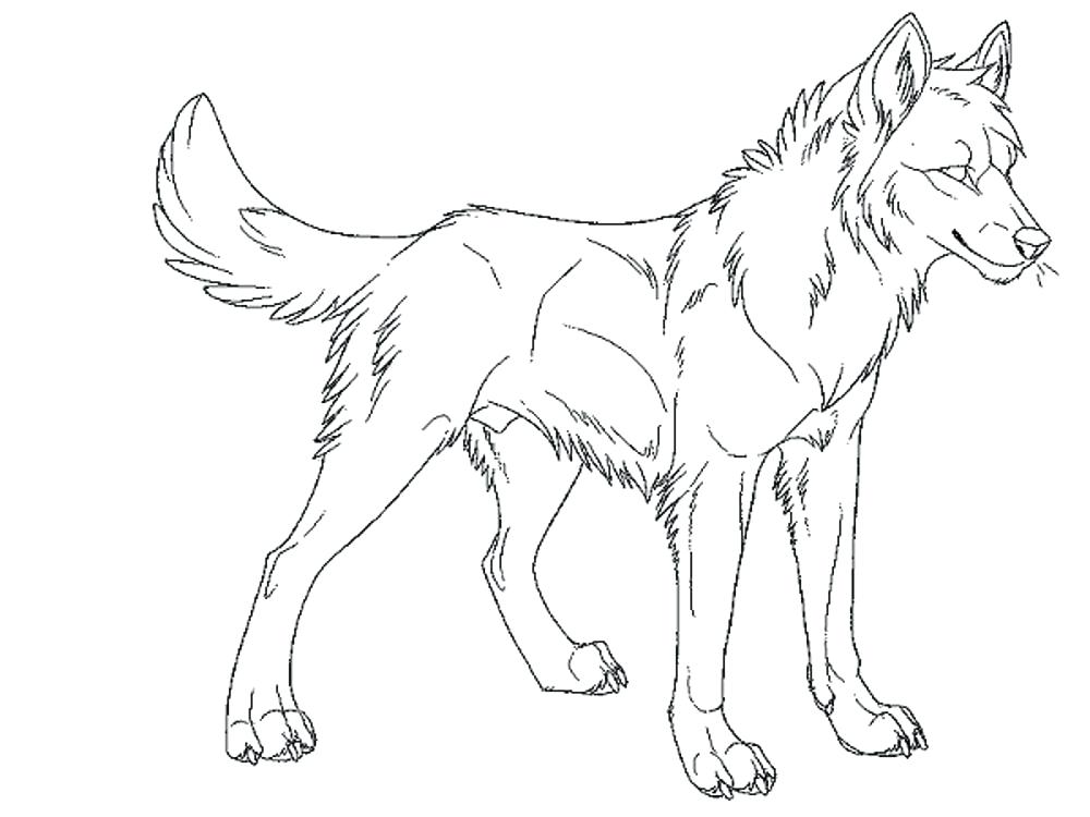 1000x750 Wolf Coloring Pages Or Shop Related Products Animal Jam Arctic