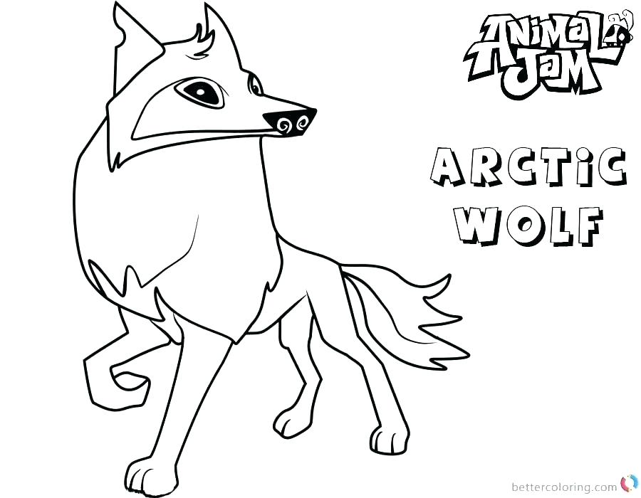 900x700 Animal Jam Coloring Pages Arctic Coloring Pages Animal Jam
