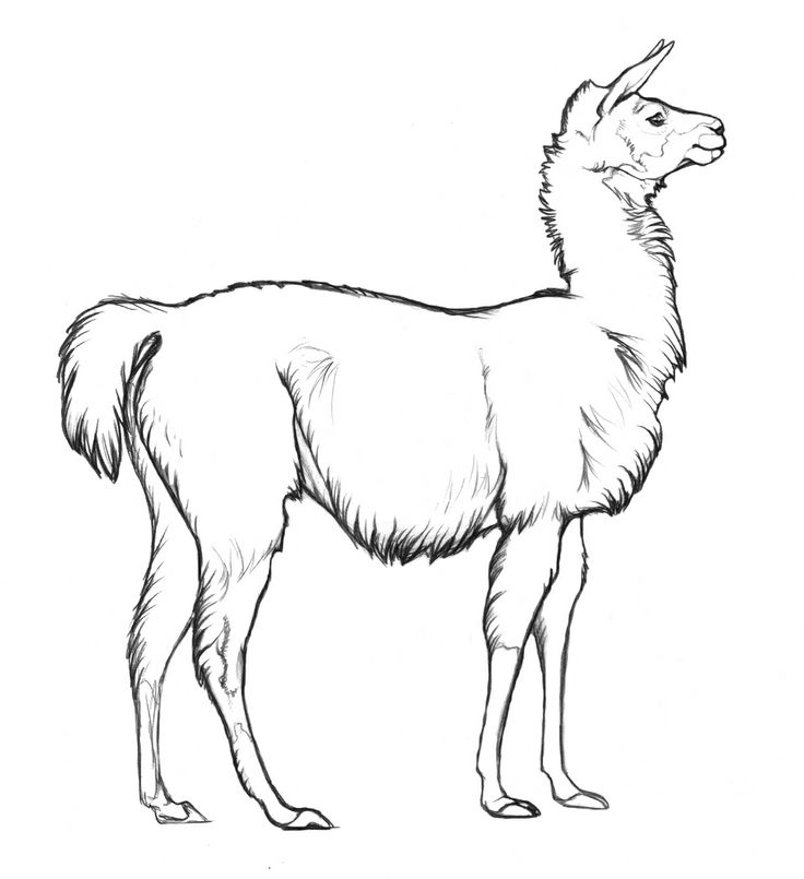 Argentina Coloring Pages