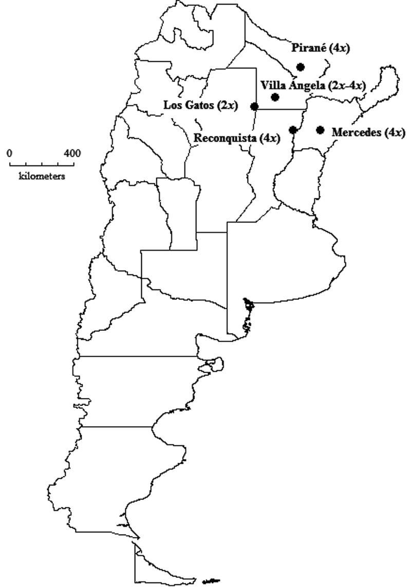 800x1143 Argentina Coloring Pages