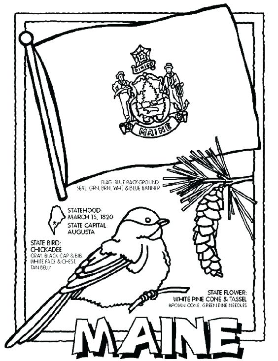 564x733 Argentina Soccer Coloring Pages Printable Flag Of Argentina