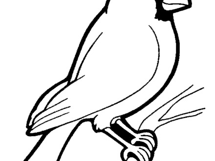 Arizona Cardinals Coloring Pages