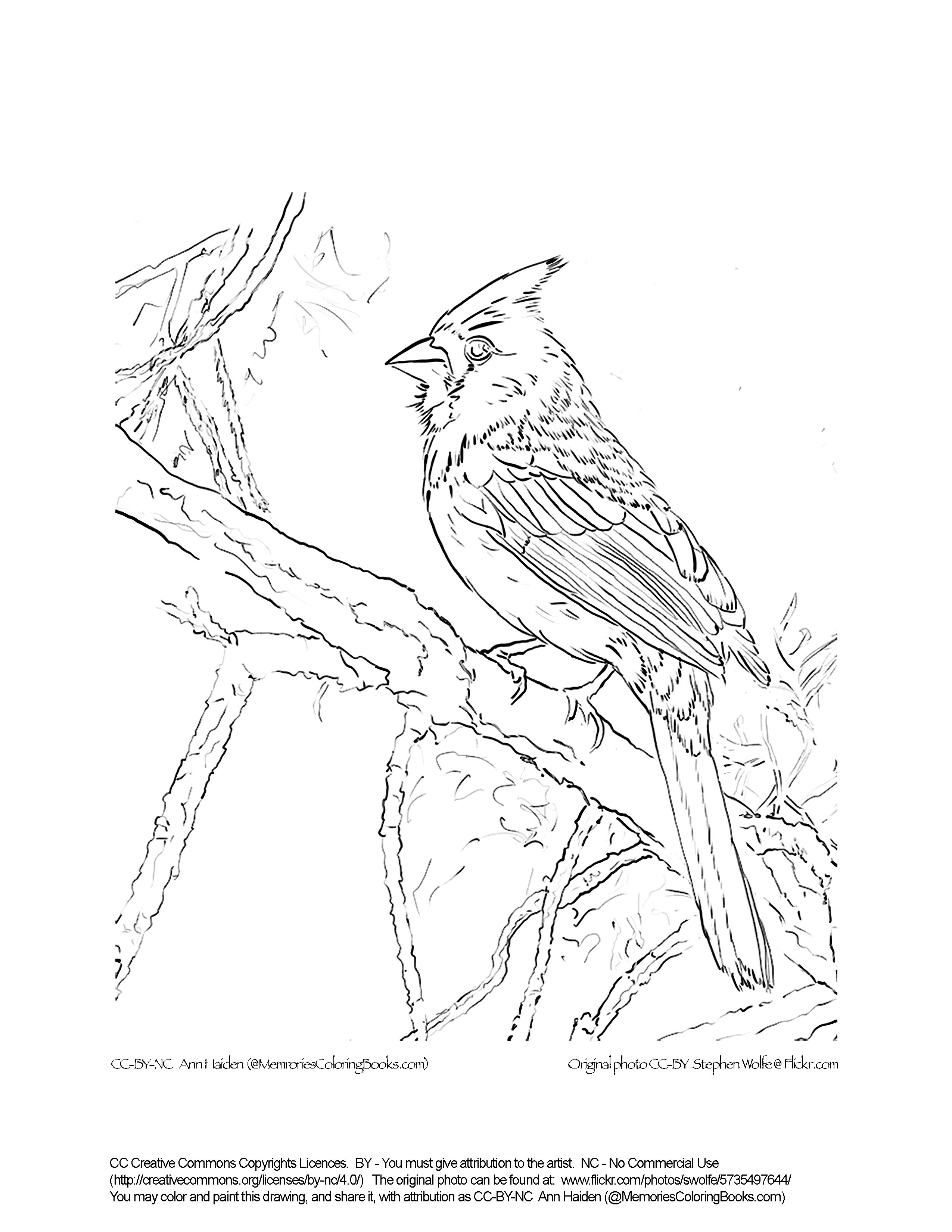 2550x3300 Arizona Cardinals Coloring Page