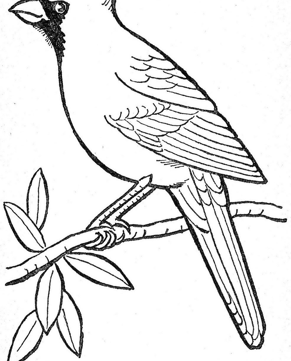 985x1224 Arizona Coloring Pages What Is Puss In Boots About Coloring Pages