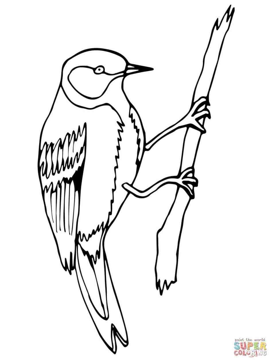 948x1264 Arizona State Flower And Bird Coloring Pages Arizona.jpg