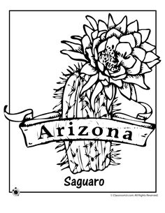 236x305 Indiana State Flower Coloring Worksheets, Worksheets And Geography