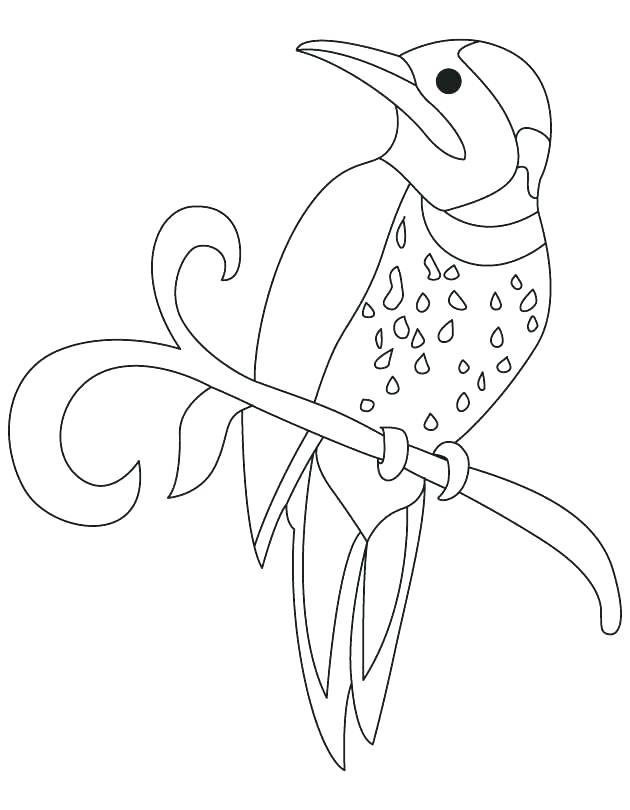 630x810 Arkansas Coloring Pages Coloring Page Arkansas State Symbols