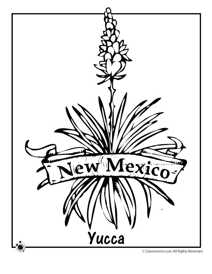 680x880 Arkansas Coloring Pages Coloring Pages Symbols Coloring Pages