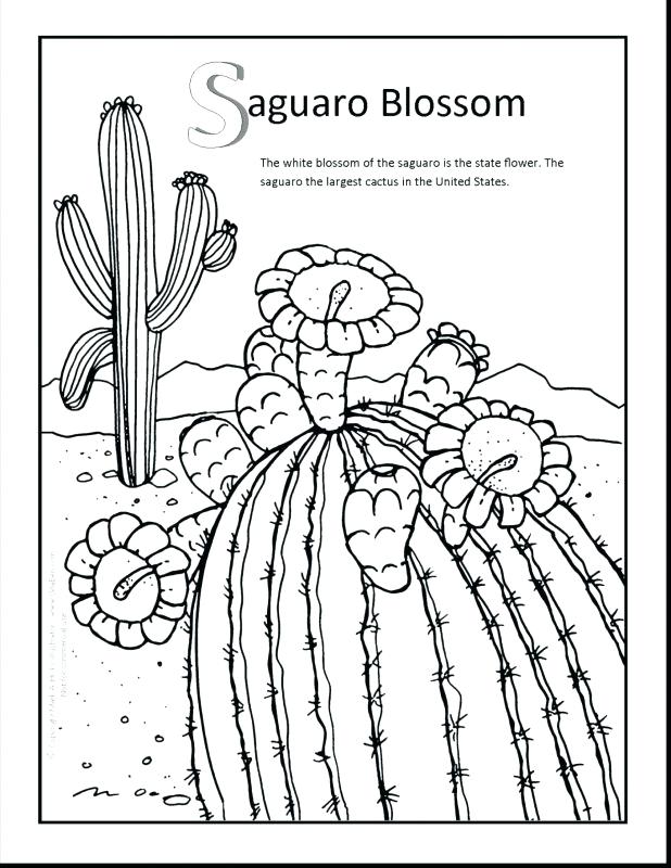 618x800 Arkansas Coloring Pages Click The Coloring Pages Arkansas