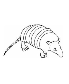 Armadillo Coloring Page