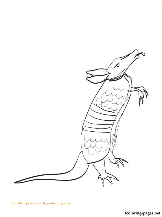 560x750 Armadillo Coloring Page New Armadillo Para Colorir