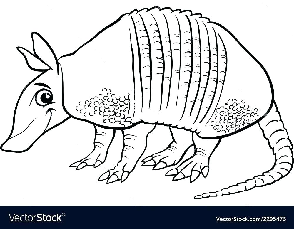 1000x780 Armadillo Coloring Page Rodeo Coloring Pages Armadillo Coloring