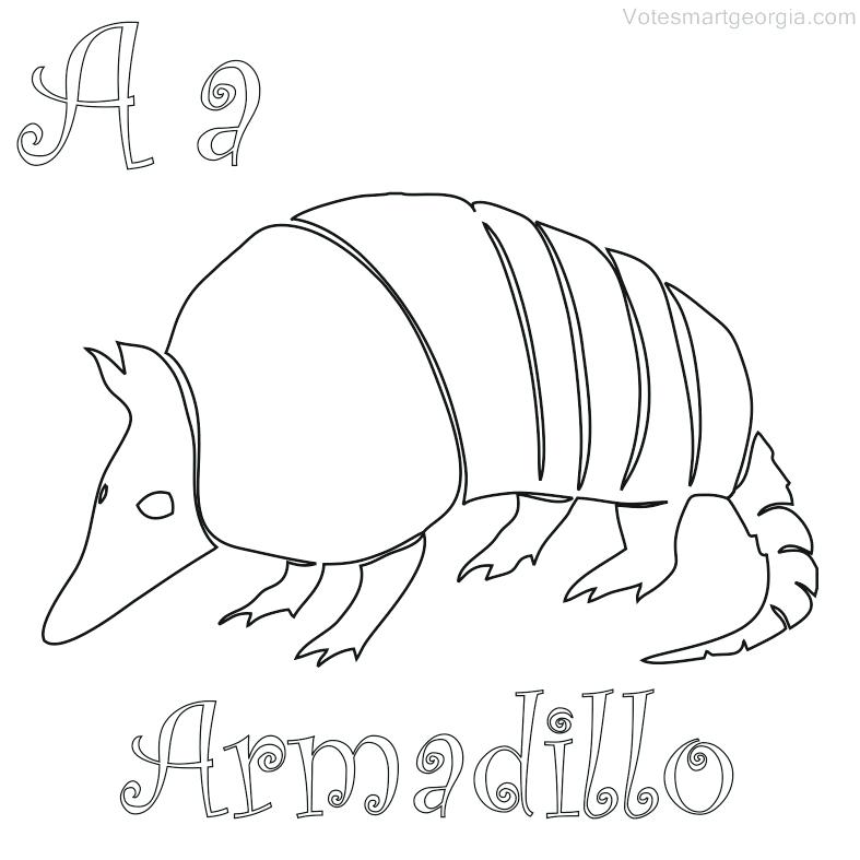 787x787 Armadillo Coloring Pages Armadillo Coloring Page Armadillo Animal