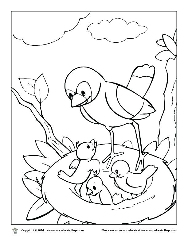 612x792 Armadillo Rodeo Coloring Page