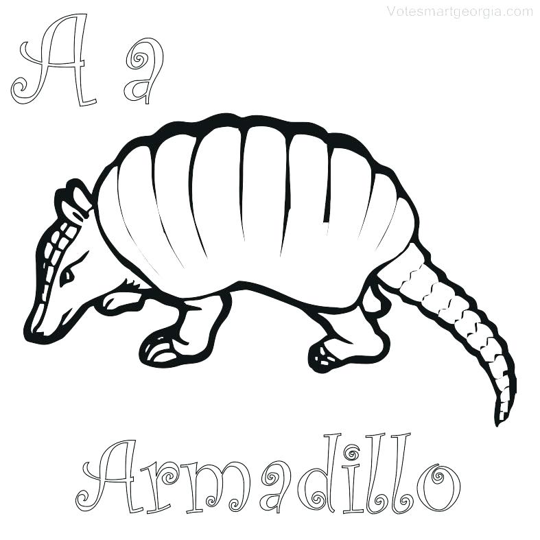 787x787 Coloring Armadillo Coloring Pages To Print Mighty The Free