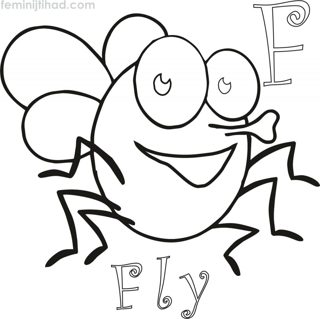 1024x1021 Coloring Page ~ Armadillo Coloring Page Animated Fly Pages Free