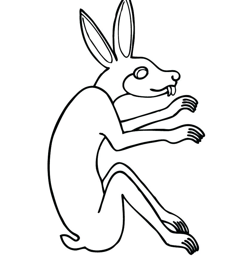 820x900 Armadillo Coloring Page Armadillo Coloring Page Pages Mighty