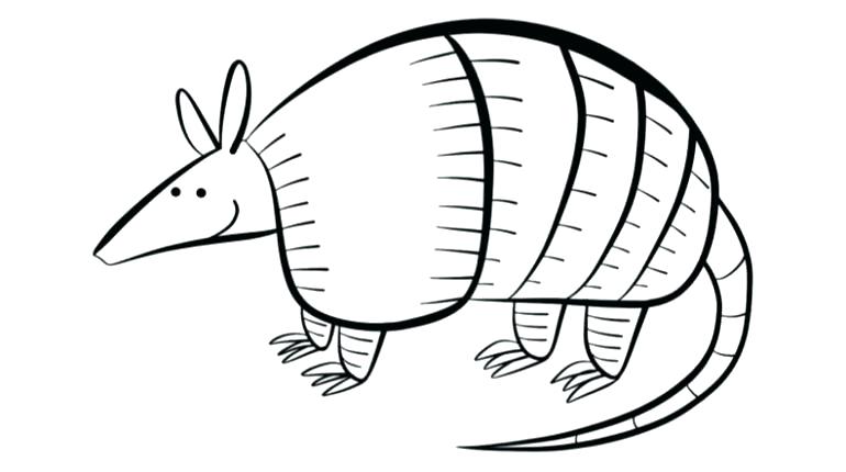 770x430 Armadillo Coloring Page Best Of Armadillo Coloring Page Pictures