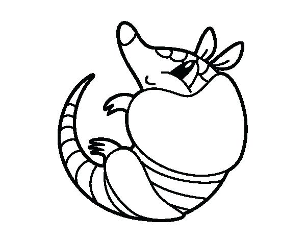 600x470 Armadillo Coloring Page Female Armadillo Coloring Page Texas