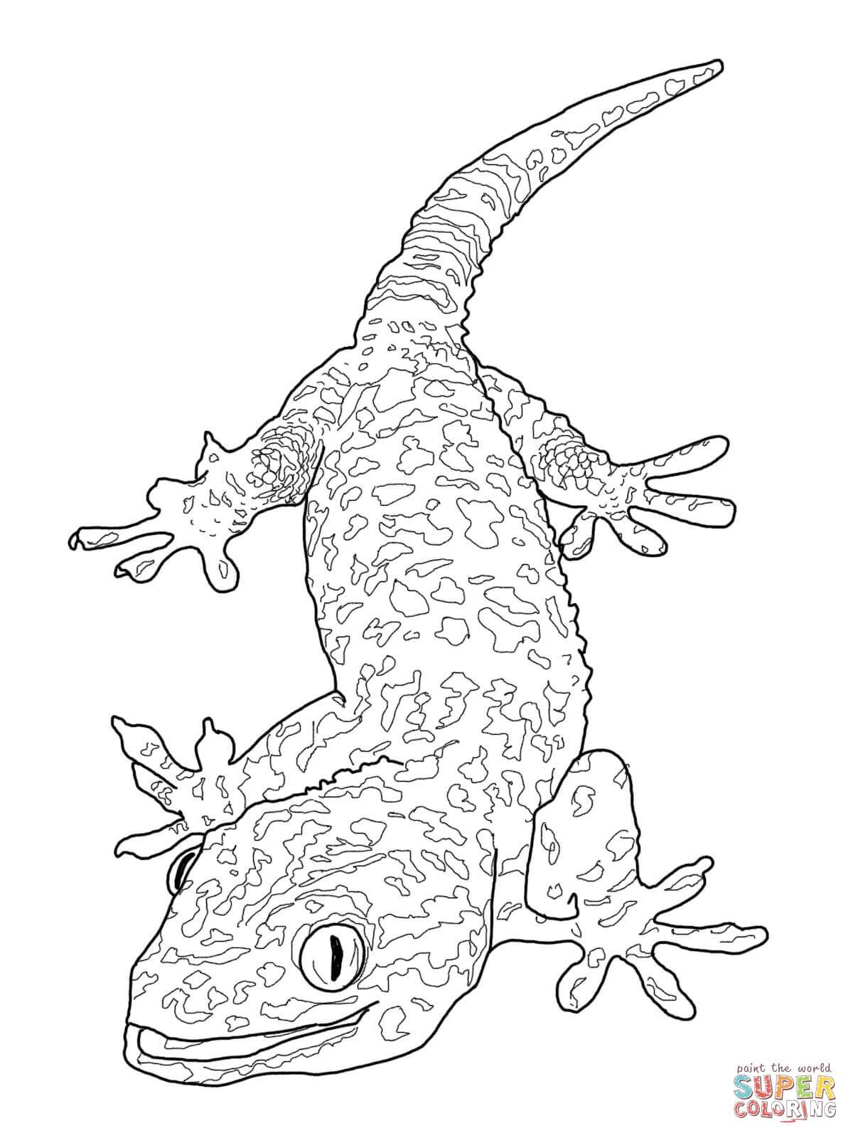 1200x1600 Astonishing Issa The Iguana Dora Explorer Coloring Page Store