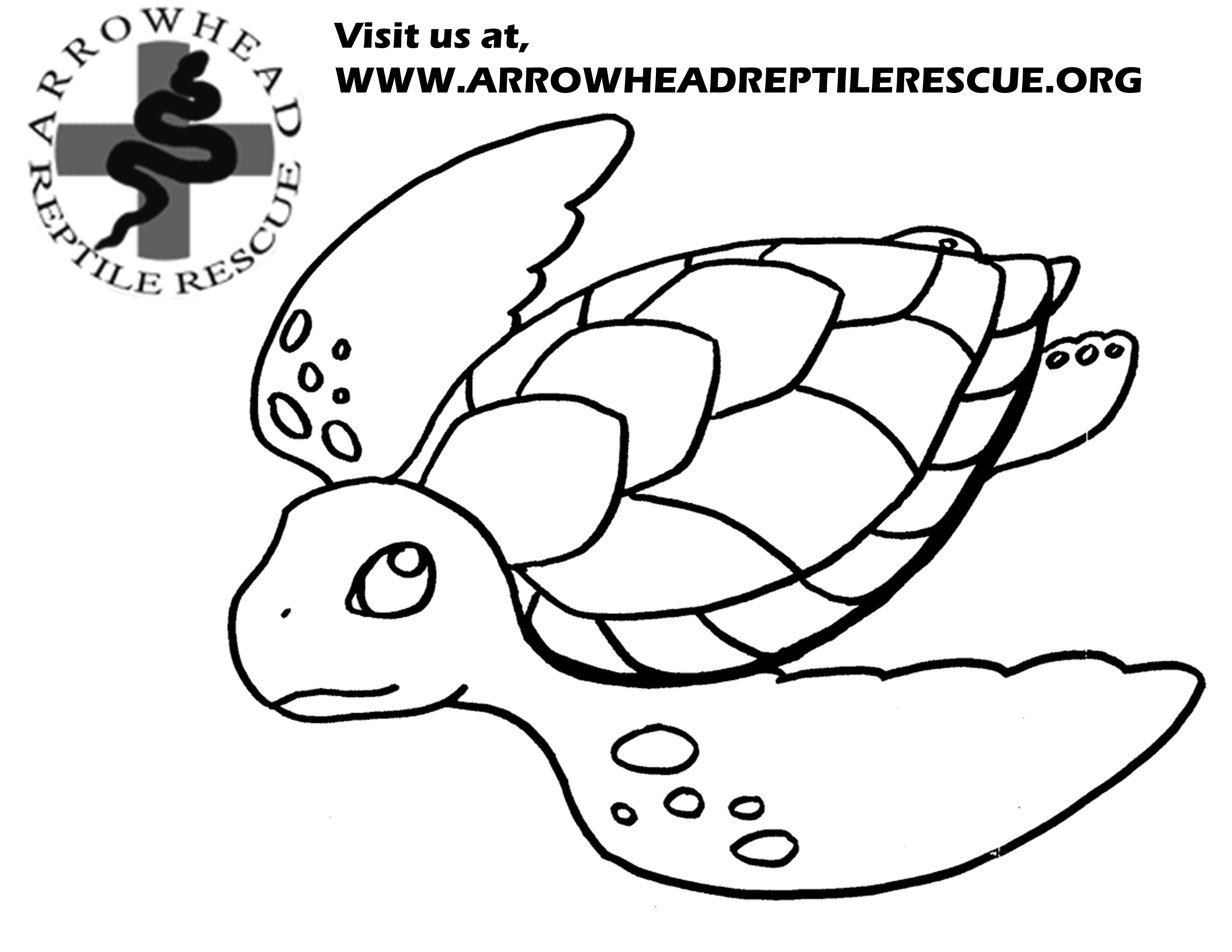 3300x2550 Arrowhead Coloring Pages.jpg