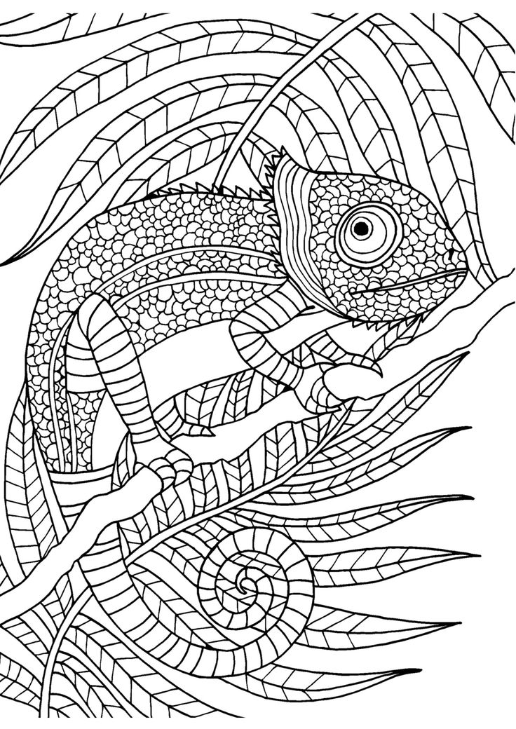 736x1040 Colouring In Sheet Colouring In Sheet Colouring In Sheets Vitlt