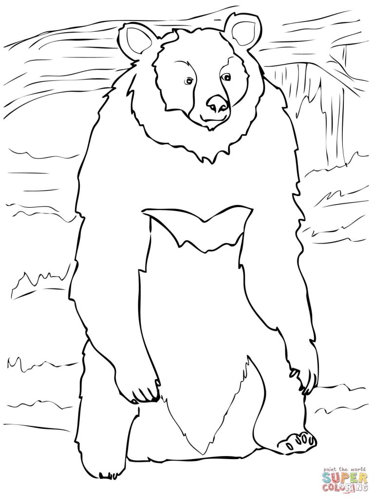 768x1024 Asia Black Bear Standing Up Free Coloring Page