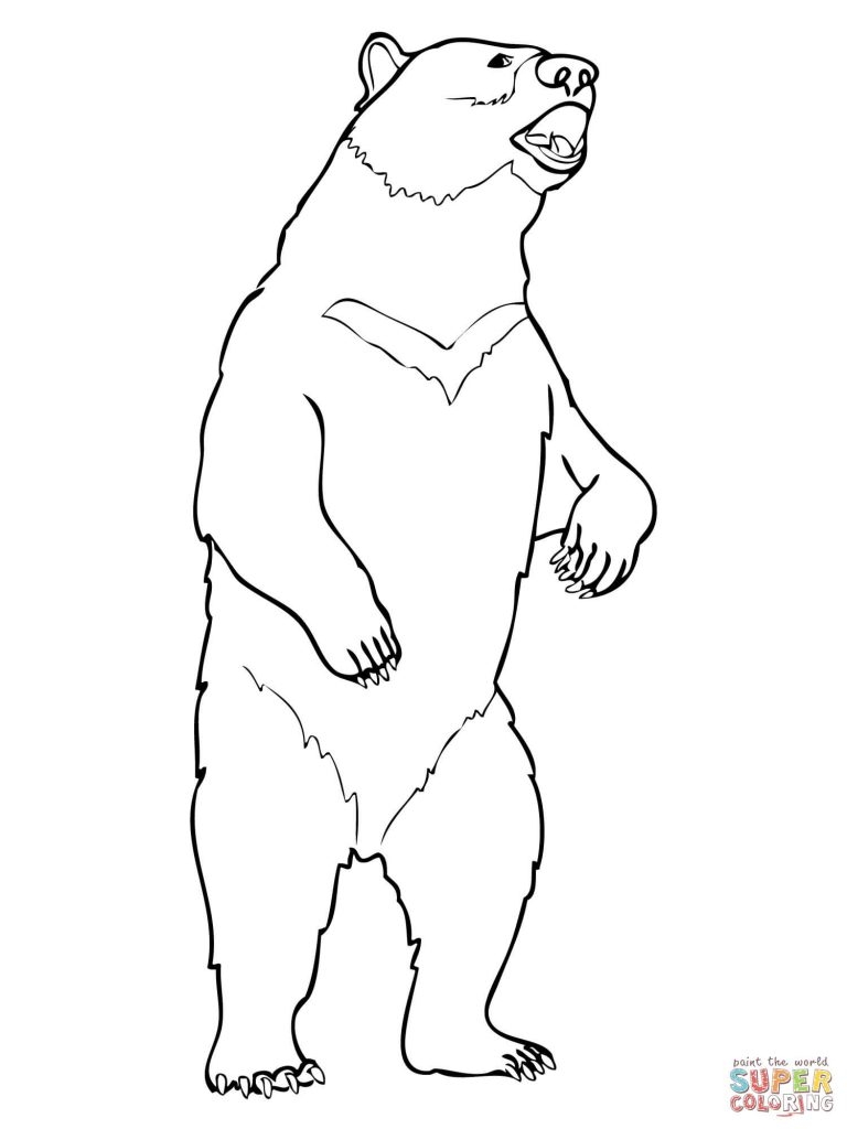 768x1024 Asia Black Bears Coloring Pages Gallery Coloring For Kids 2018