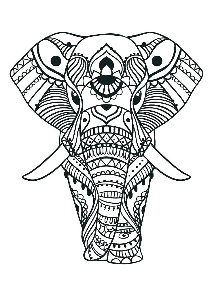 736x980 Coloring Pages Elephants Free Elephant Coloring Pages Free