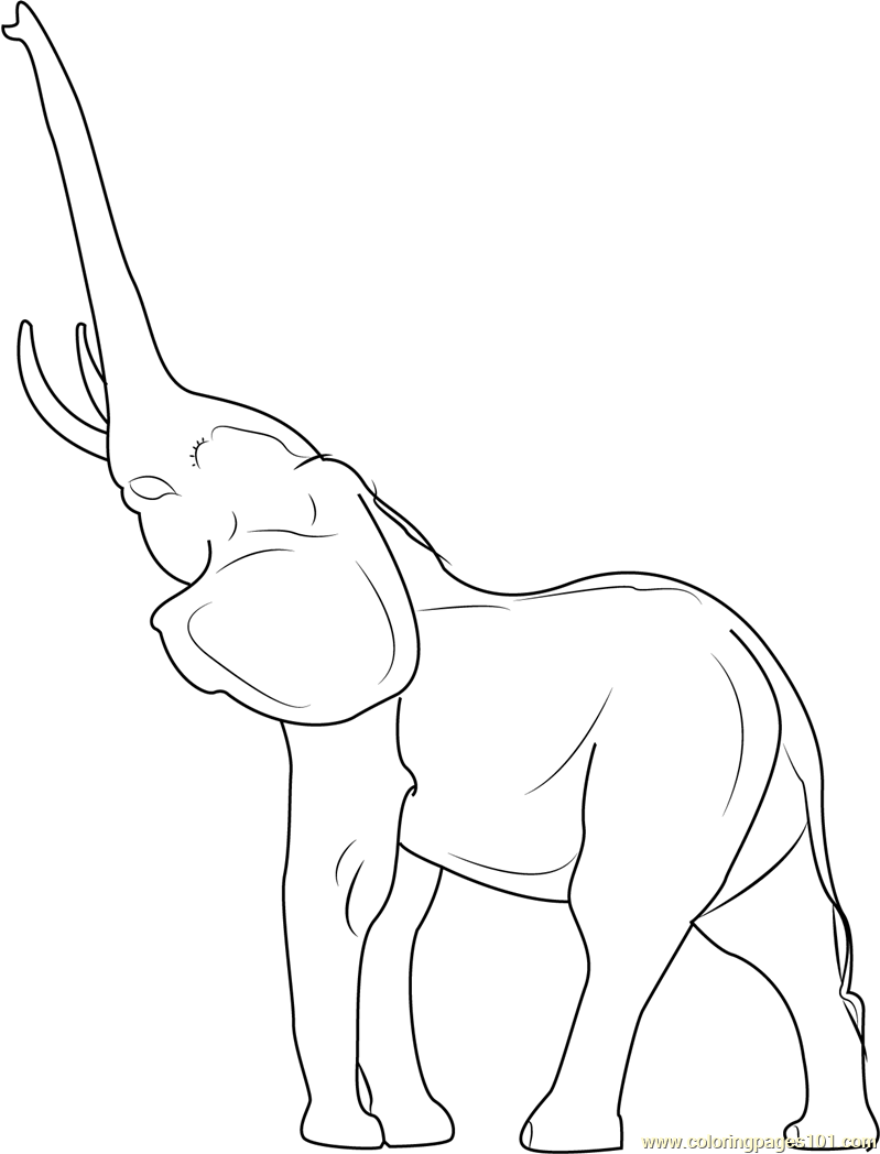 799x1048 Weird Asian Elephant Coloring Page Pages Print