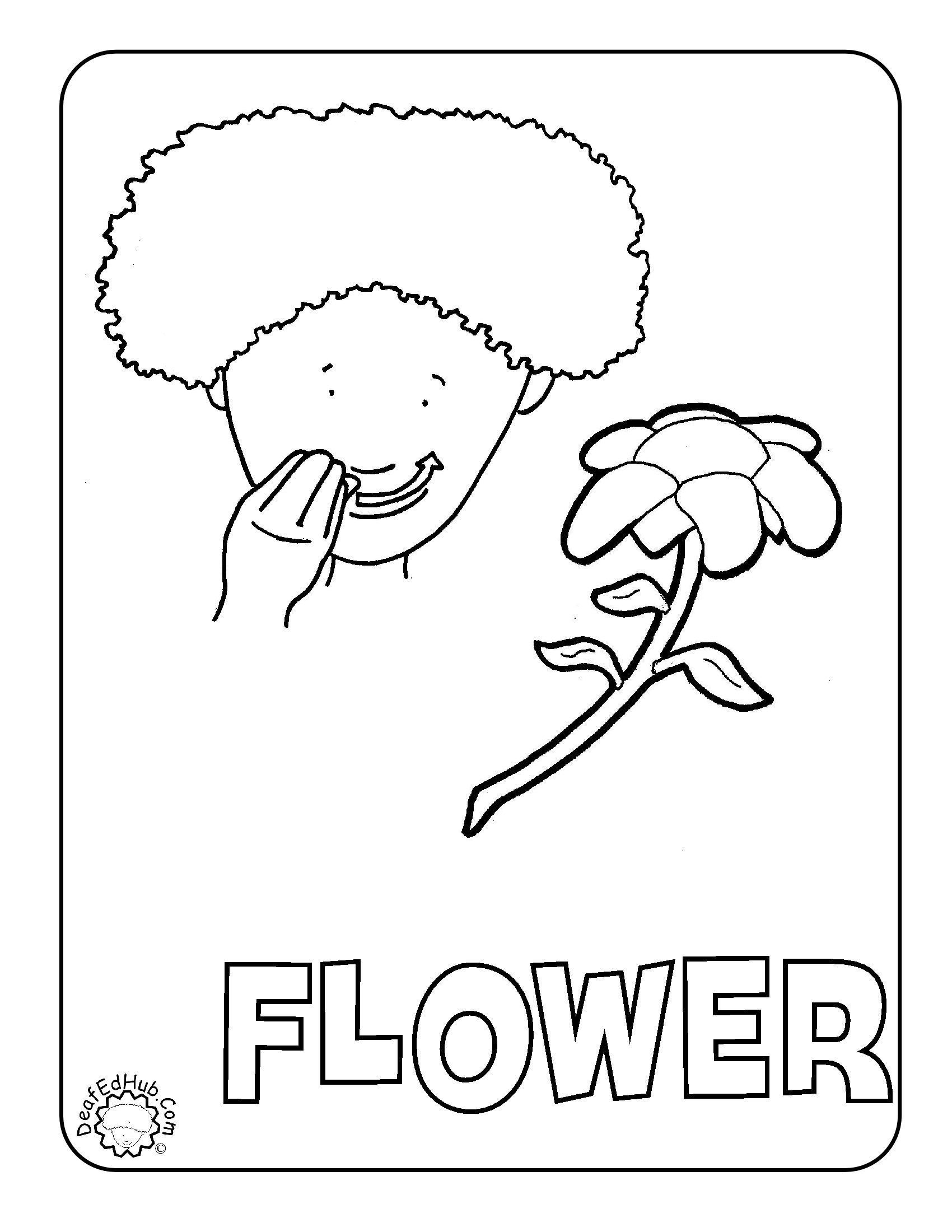 1700x2200 Flower Coloring Asl We Have A Few New Coloring Pages Up Now! Last