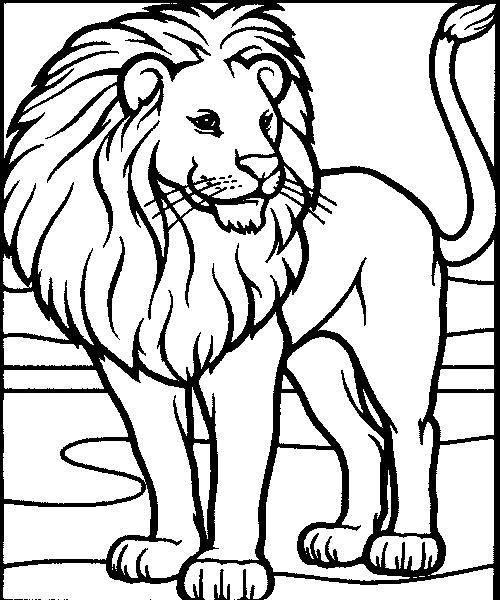 500x600 This Is A Great, Friendly, Aslan Looking Lion! Kara And I Plan