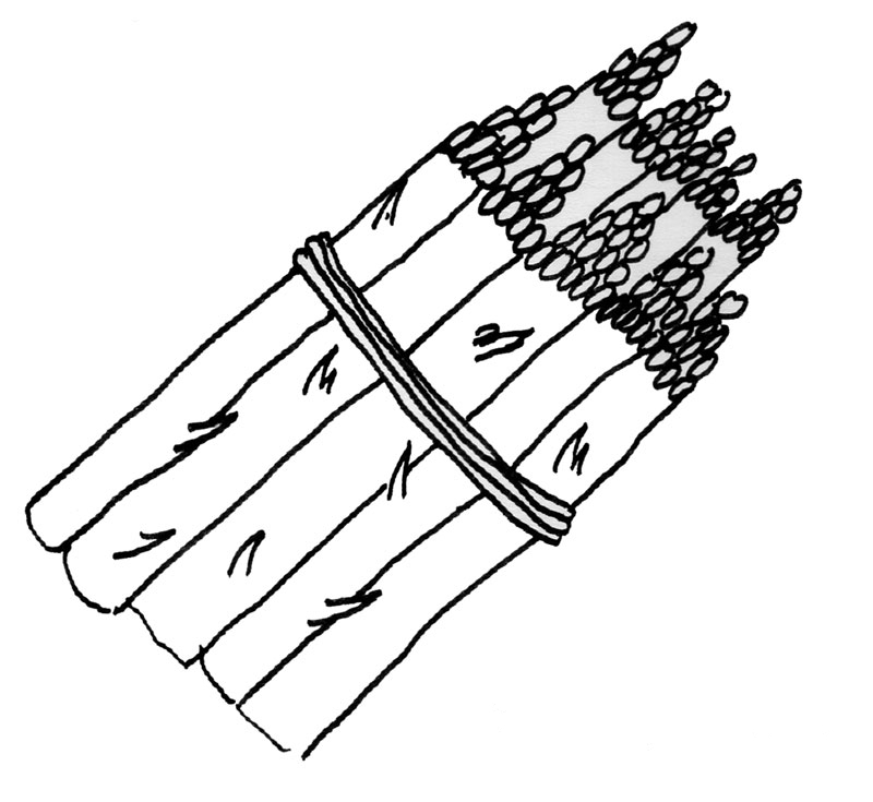 800x735 Printable Vegetable Asparagus Coloring Page For Kidsfree Printable