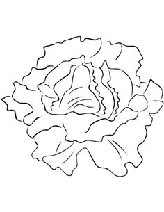 236x305 Asparagus Coloring Page Printables Asparagus