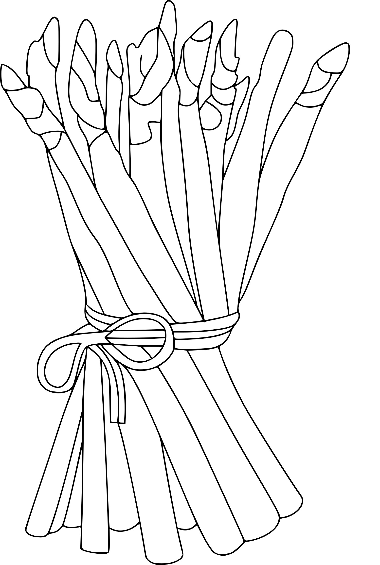 1541x2292 Asparagus Coloring Page