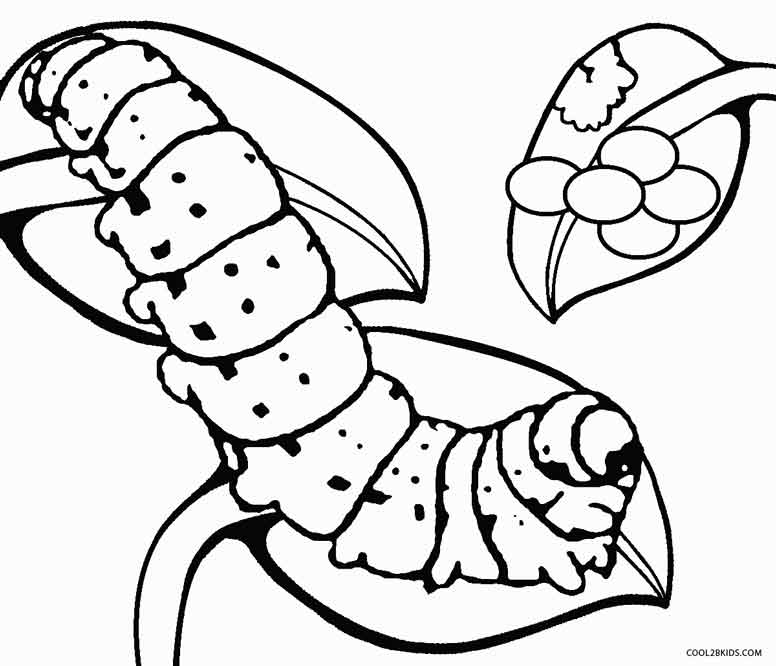 776x666 Printable Caterpillar Coloring Pages For Kids Cool2bkids