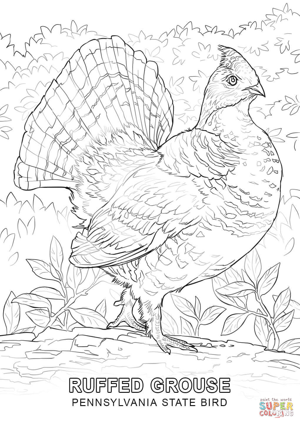 1020x1440 Atlanta Falcons Helmet Coloring Page Color Bros