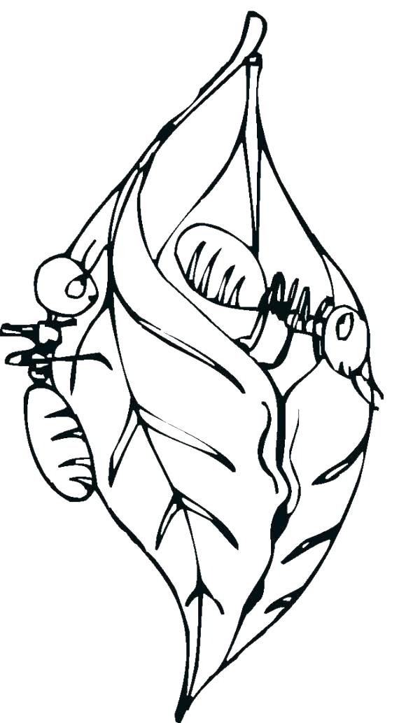 Atom Coloring Page