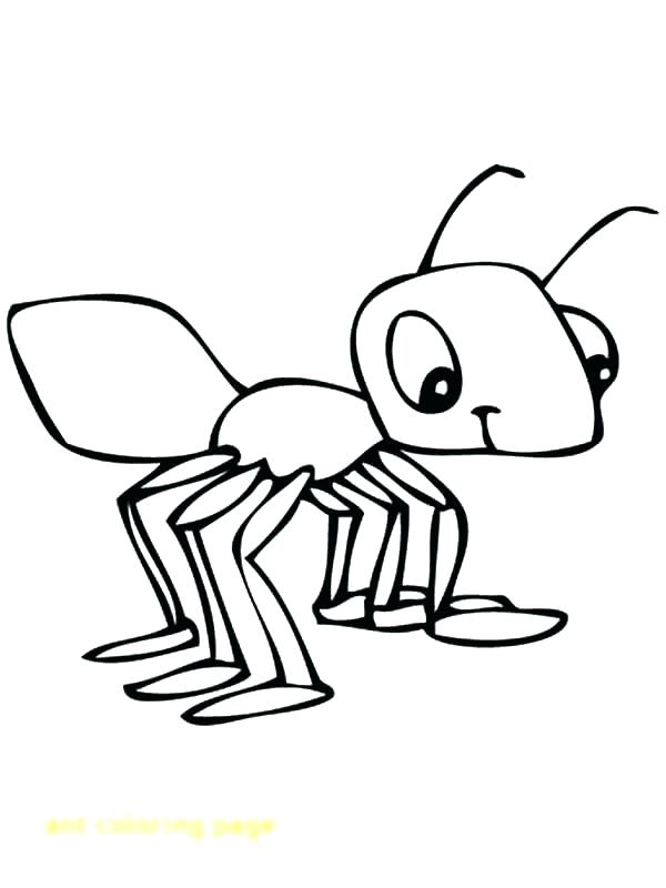 600x800 Grasshopper Coloring Page Ant Coloring Pages Ant Coloring Page