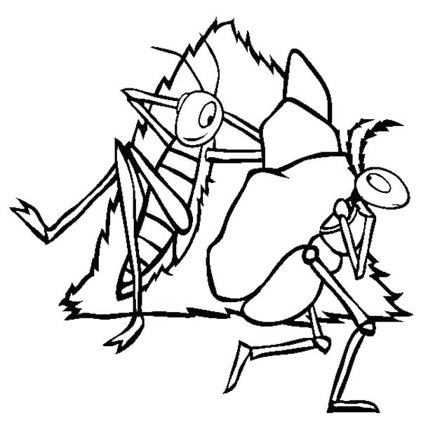 600x612 Ant Coloring Pages Ant Coloring Page Atom Ant Coloring Pages