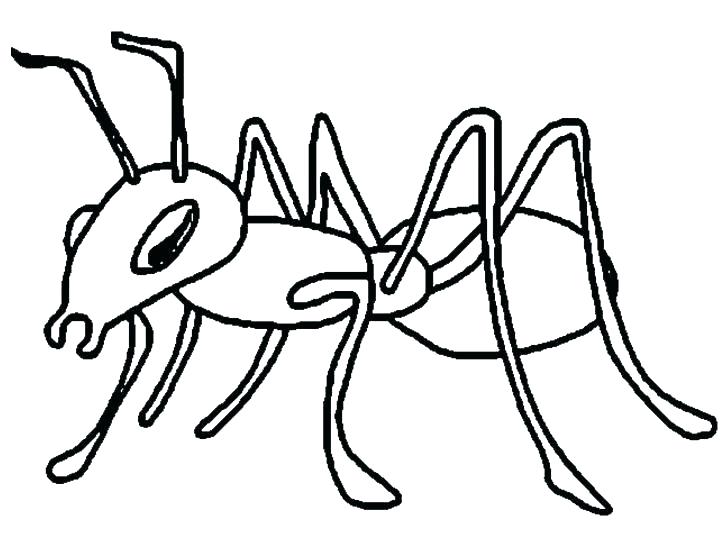 728x546 Ant Coloring Pages Fearsome Atom Man Avengers Free Farm Printable