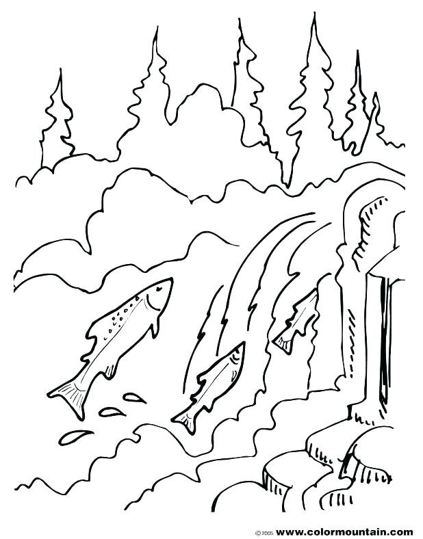 618x788 Full Coloring Pages Good Salmon Coloring Pages Crayola Photo