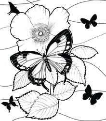 220x250 Dover Colar App