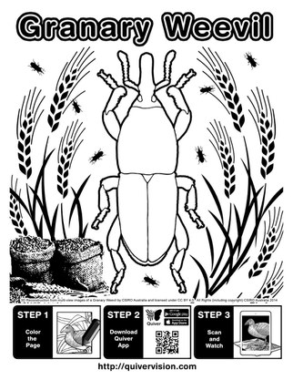 322x417 Our Augmented Reality Coloring Page Biological Science