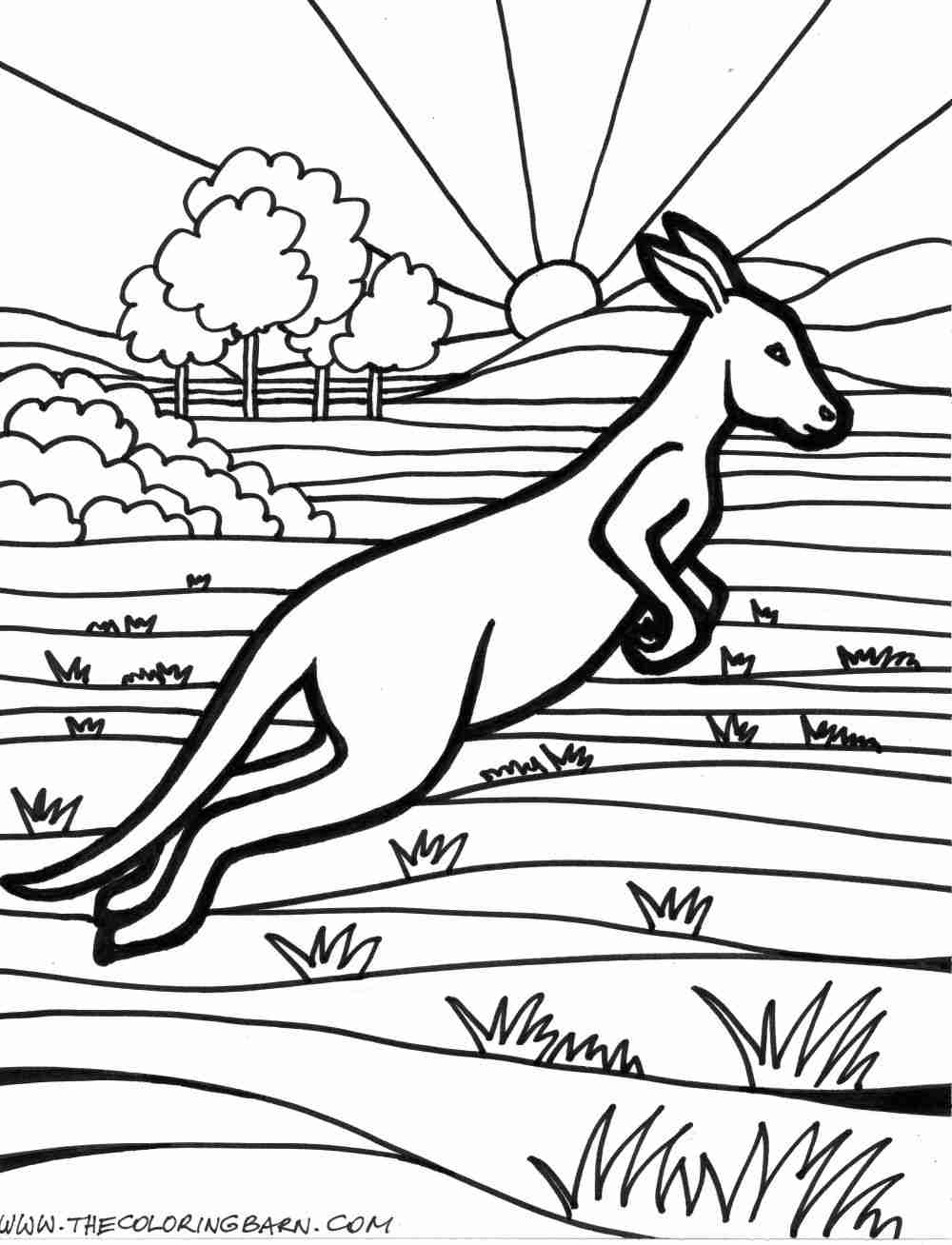 1000x1308 Australia Coloring Page Olegratiy