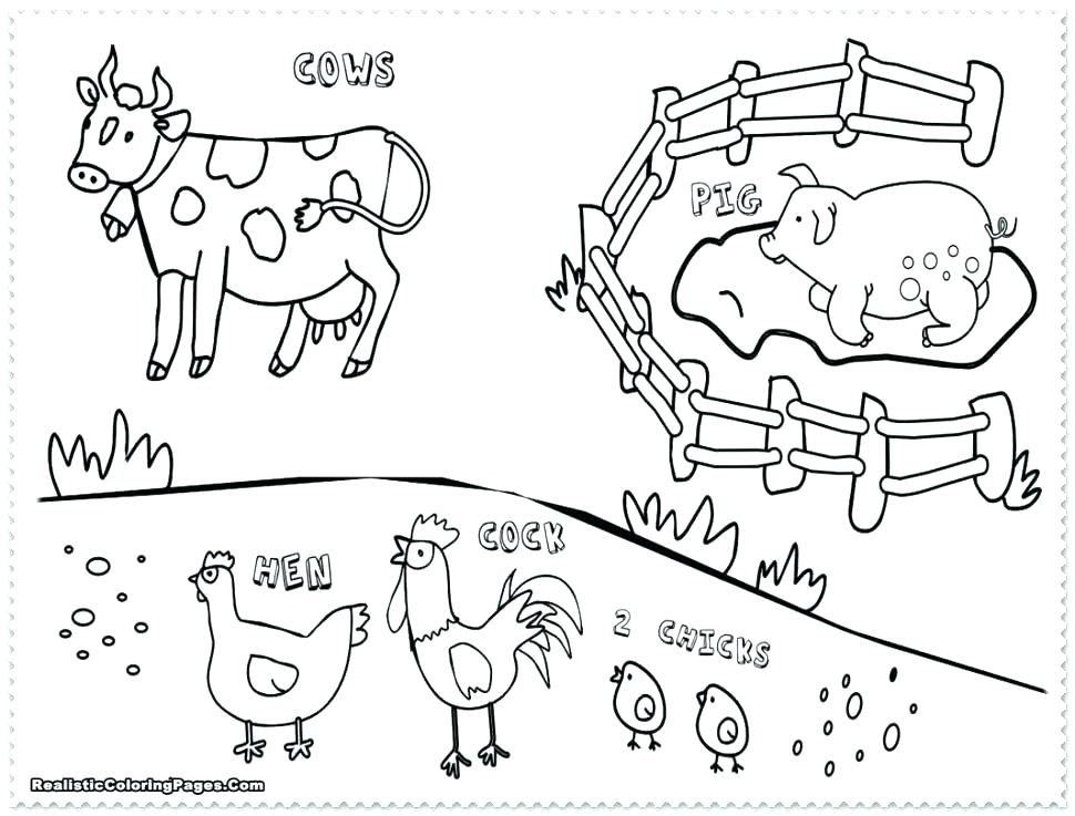 970x737 Australian Animals Coloring Pages Coloring Pages For Kids Animals
