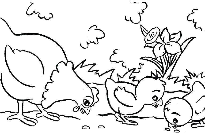 874x581 Coloring Australian Animals Coloring Pages Animal Colouring